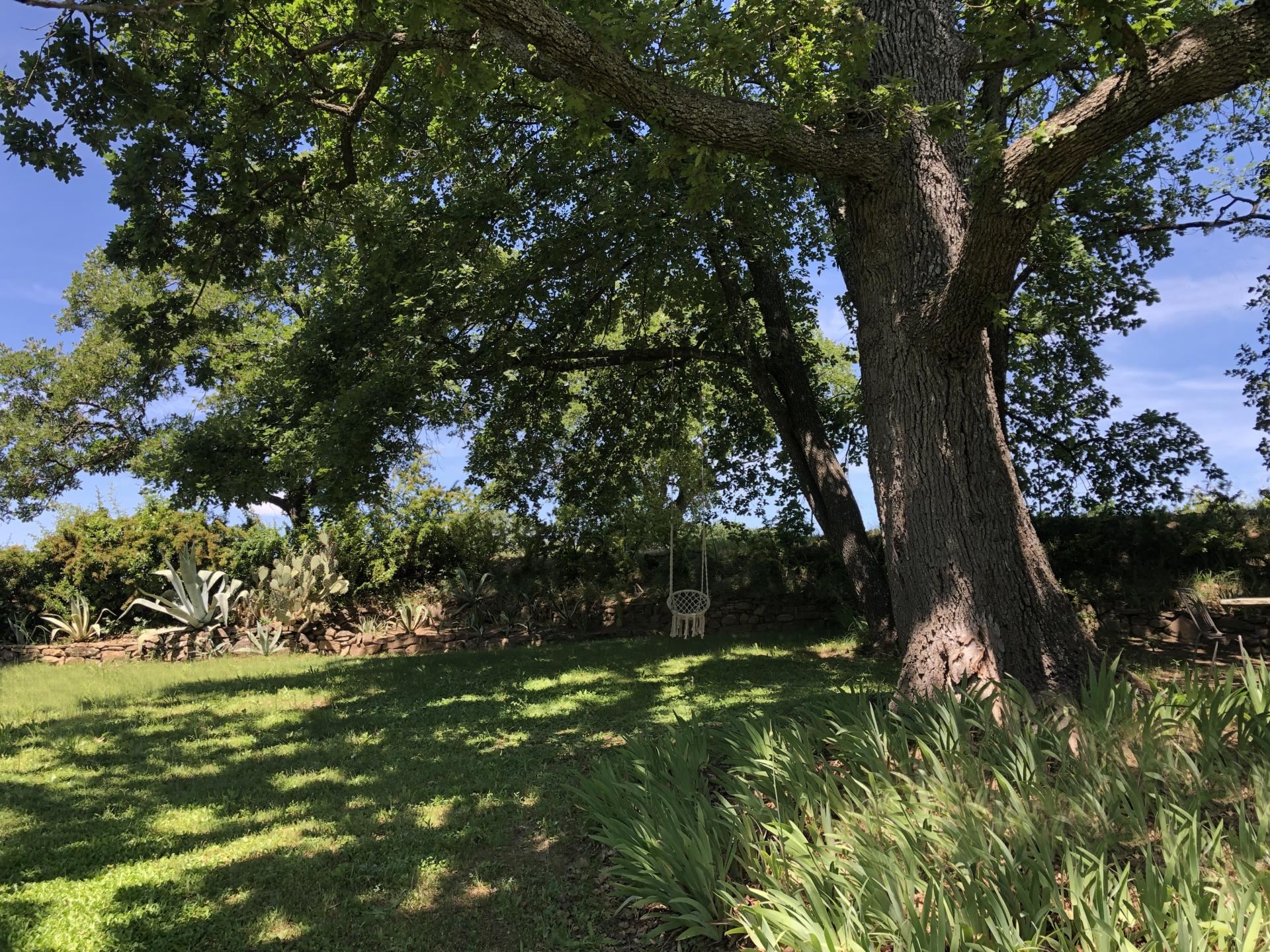 Le jardin 1