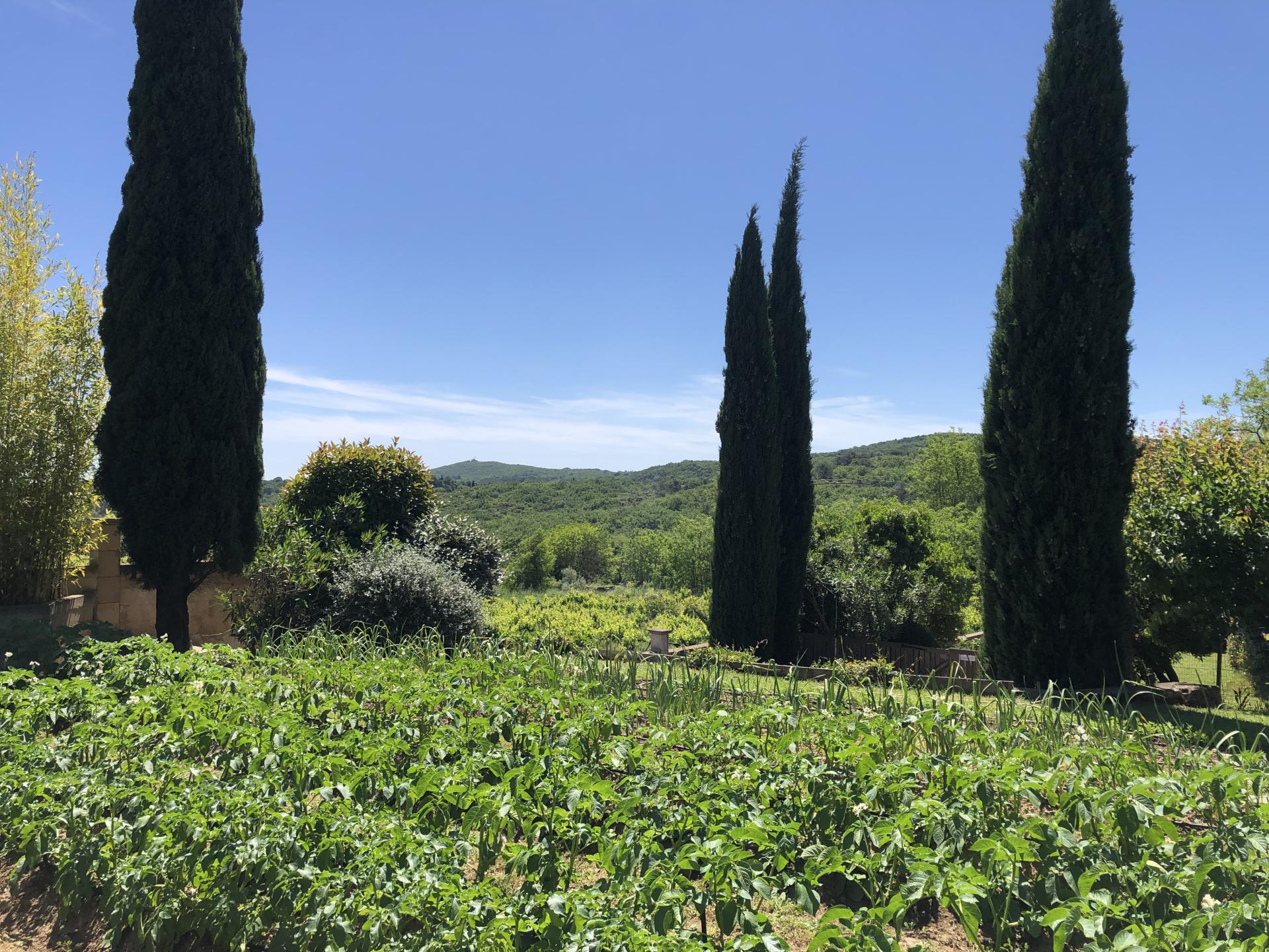 Le potager 1