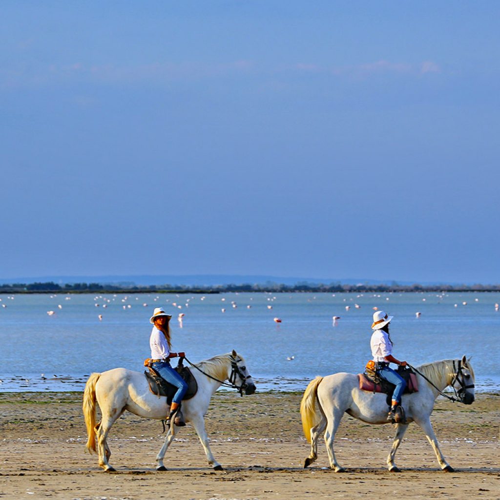 CAMARGUE