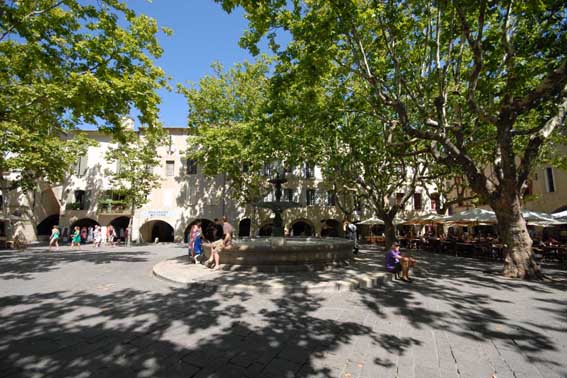 UZES, LA PLACE AUX HERBES